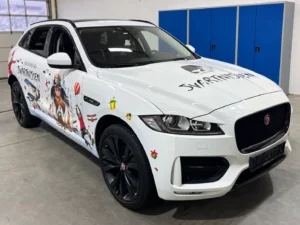Jaguar med Svartnissen-dekor, sett forfra