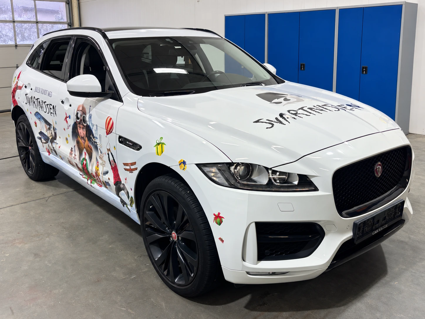 Jaguar med Svartnissen-dekor, sett forfra